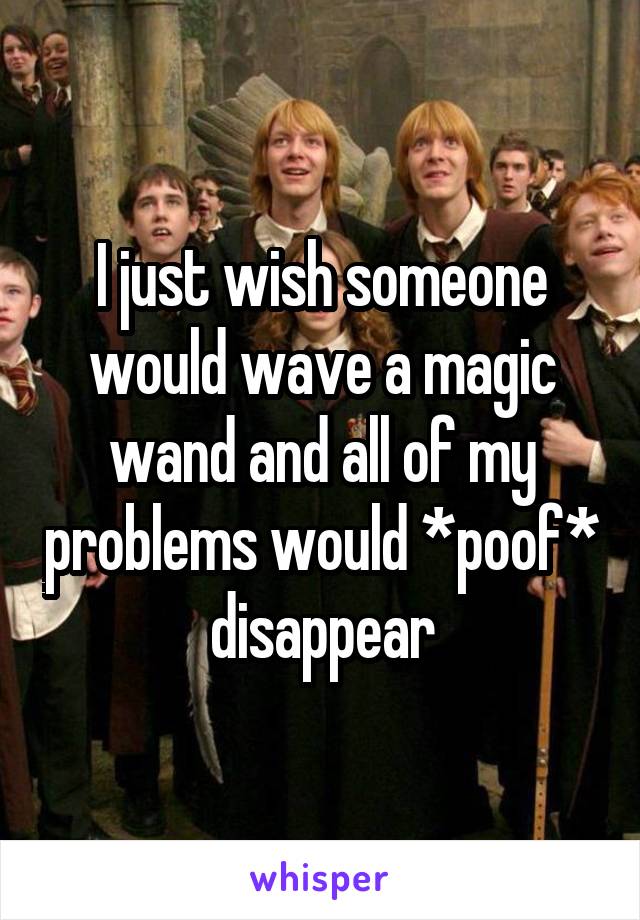 I just wish someone would wave a magic wand and all of my problems would *poof* disappear