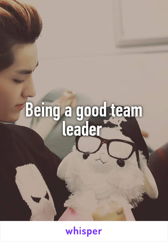 Being a good team leader 