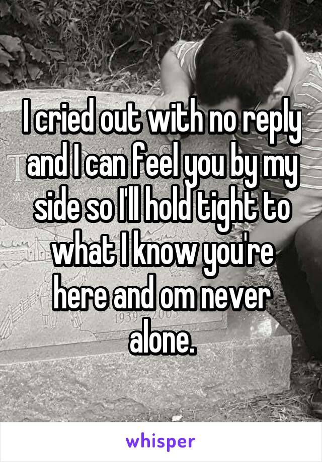 I cried out with no reply and I can feel you by my side so I'll hold tight to what I know you're here and om never alone.