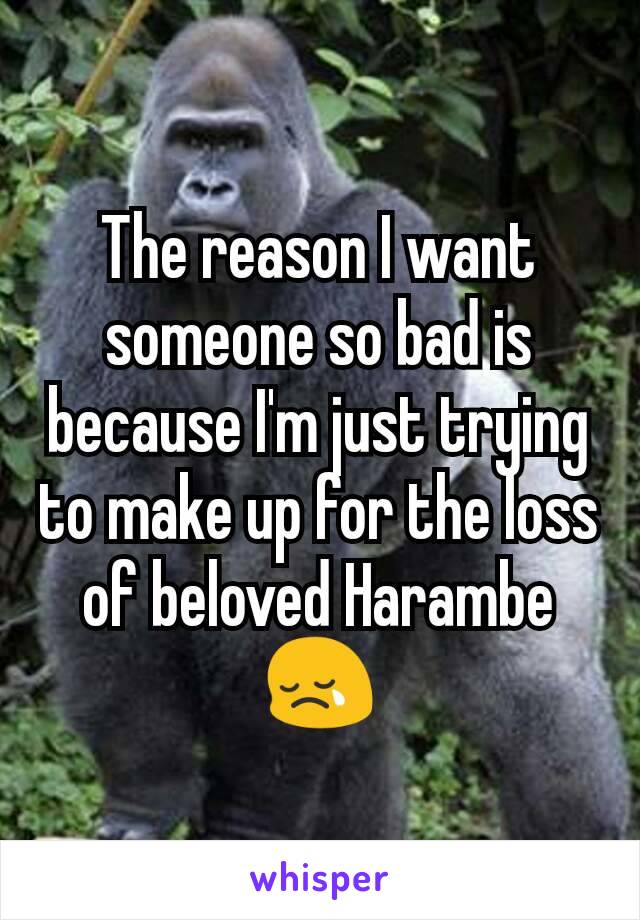 The reason I want someone so bad is because I'm just trying to make up for the loss of beloved Harambe 😢