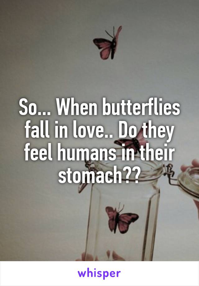 So... When butterflies fall in love.. Do they feel humans in their stomach??