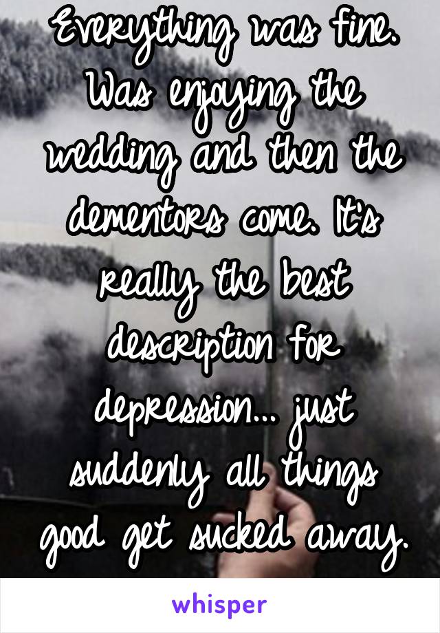 Everything was fine. Was enjoying the wedding and then the dementors come. It's really the best description for depression... just suddenly all things good get sucked away. 