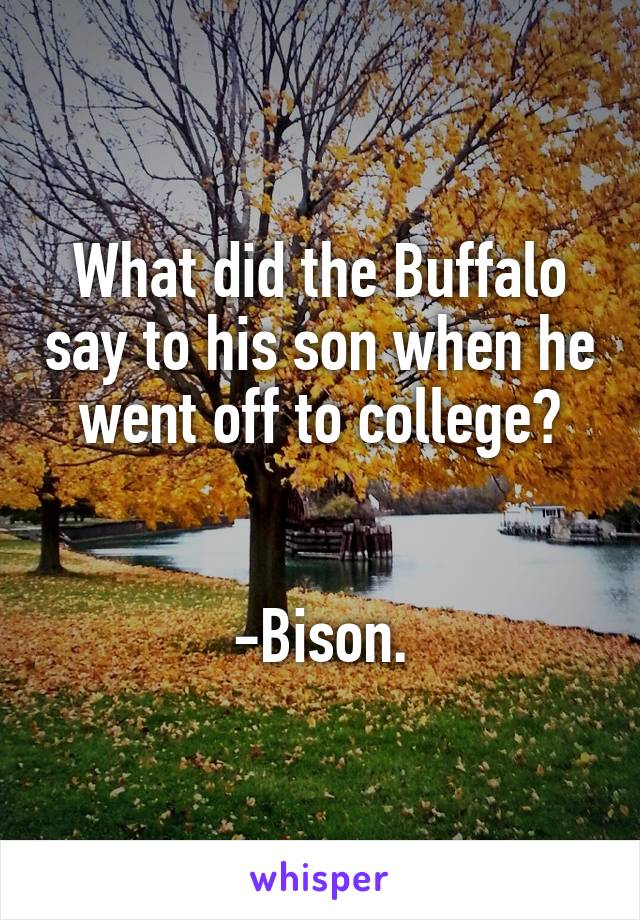 What did the Buffalo say to his son when he went off to college?


-Bison.