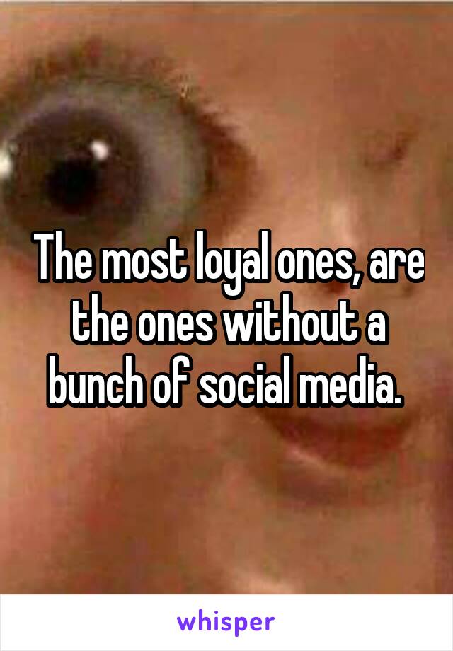 The most loyal ones, are the ones without a bunch of social media. 