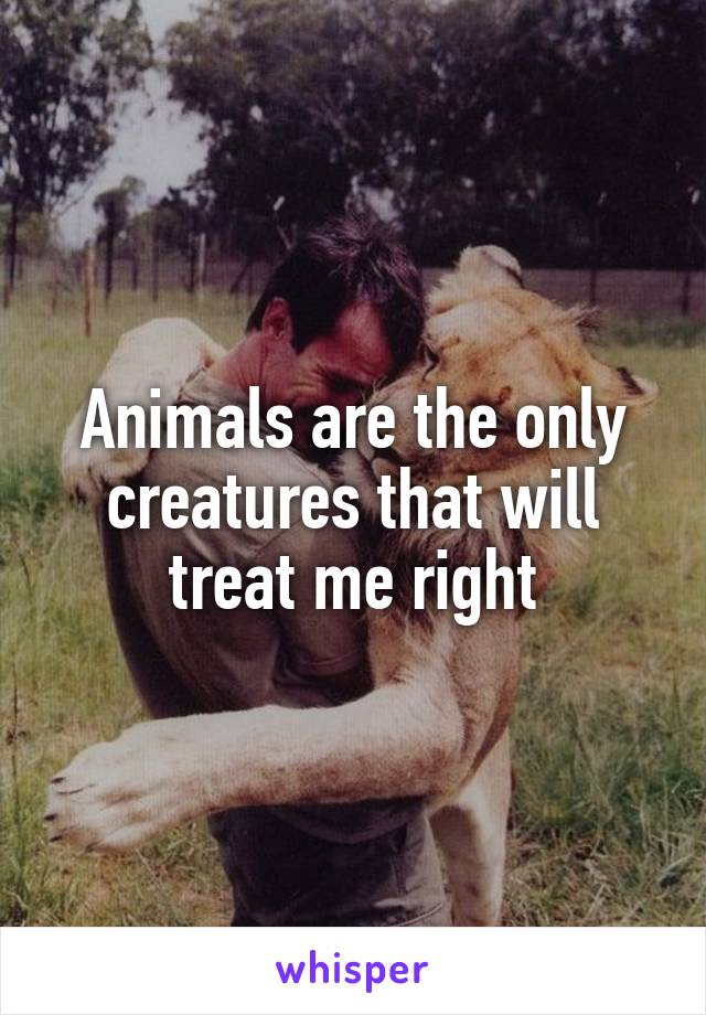 Animals are the only creatures that will treat me right