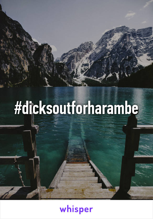 #dicksoutforharambe