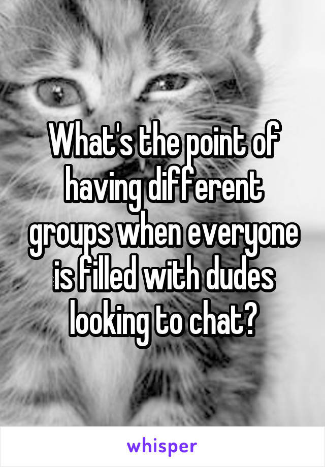 What's the point of having different groups when everyone is filled with dudes looking to chat?