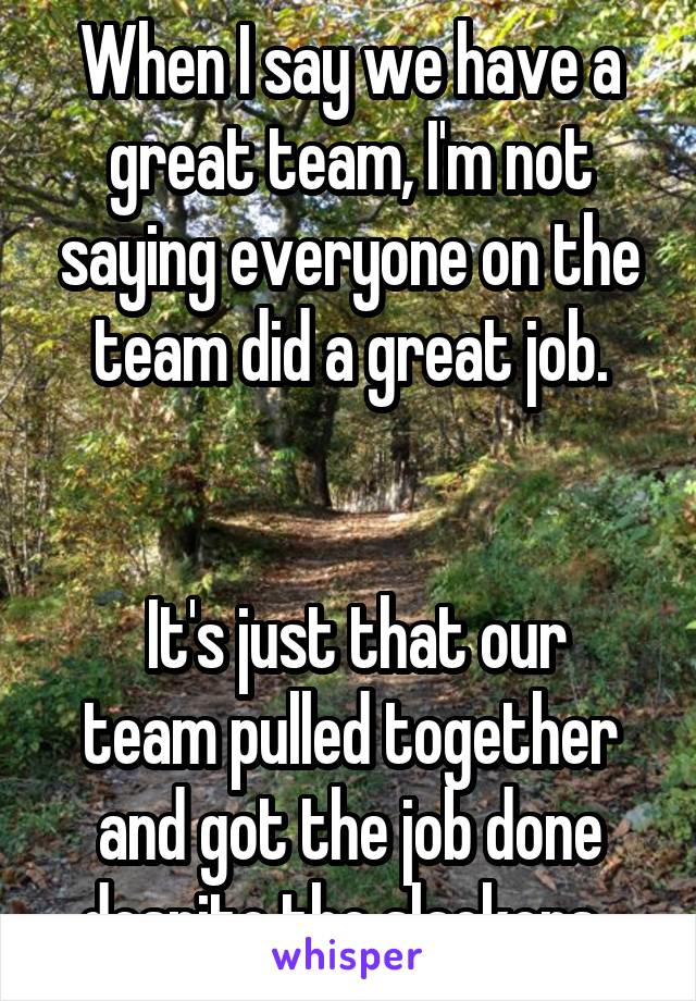 When I say we have a great team, I'm not saying everyone on the team did a great job.


 It's just that our team pulled together and got the job done despite the slackers. 