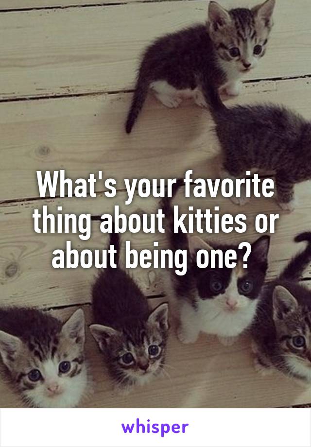 What's your favorite thing about kitties or about being one? 