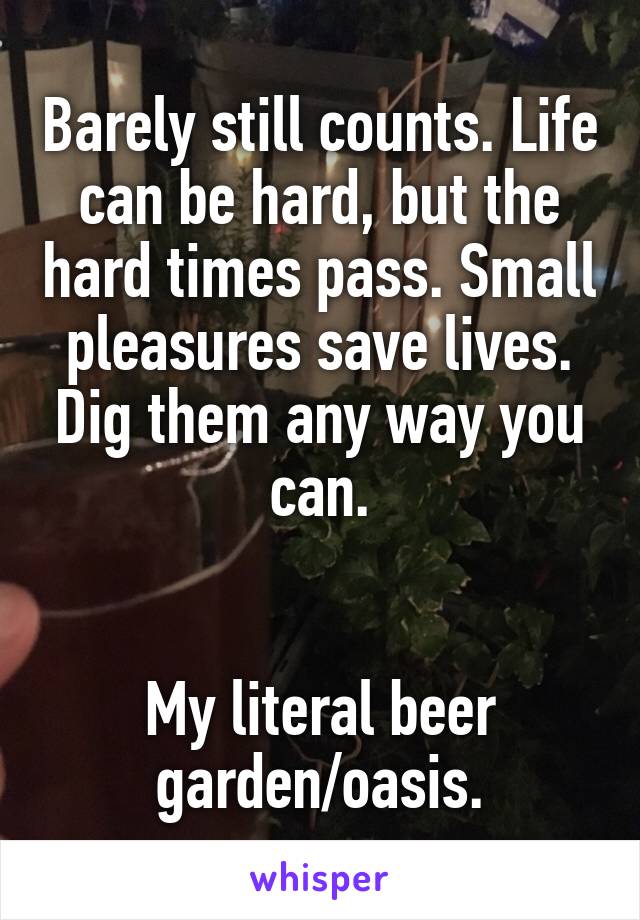 Barely still counts. Life can be hard, but the hard times pass. Small pleasures save lives. Dig them any way you can.


My literal beer garden/oasis.