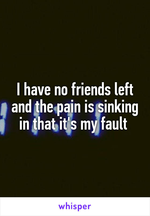 I have no friends left and the pain is sinking in that it's my fault 