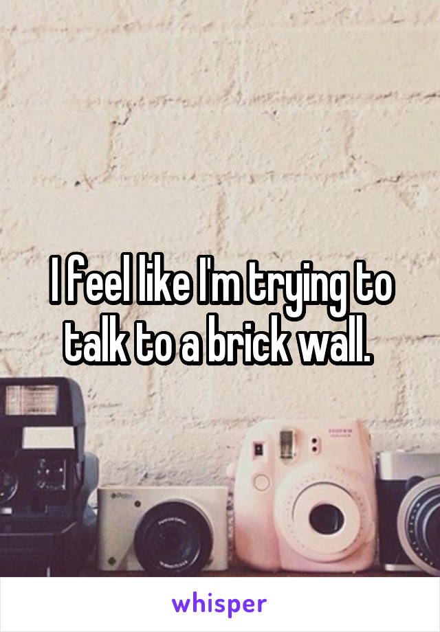 I feel like I'm trying to talk to a brick wall. 