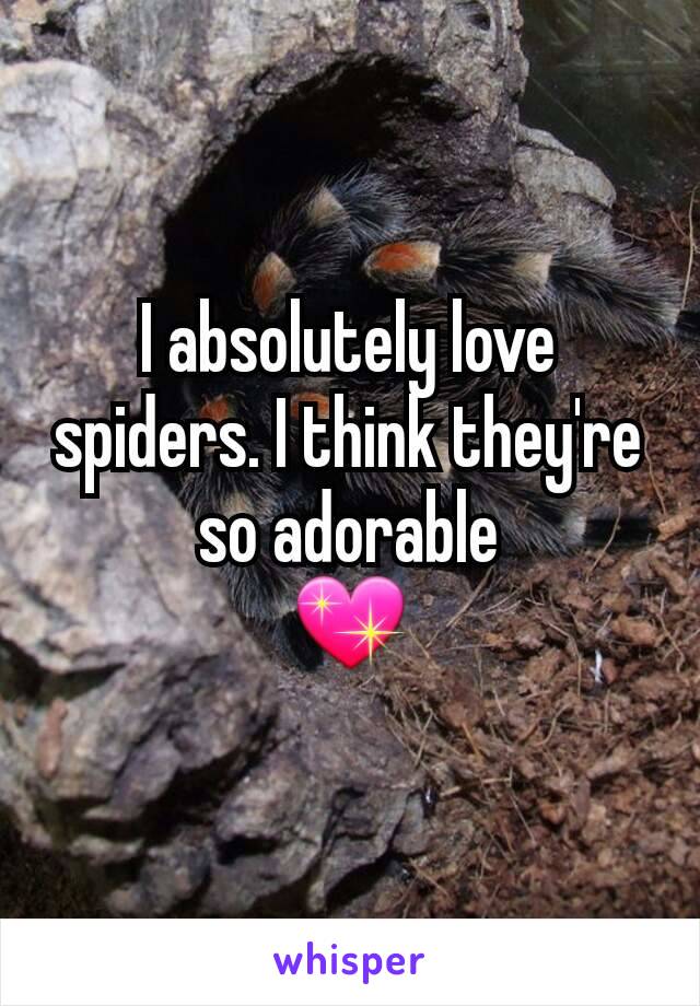 I absolutely love spiders. I think they're so adorable
💖