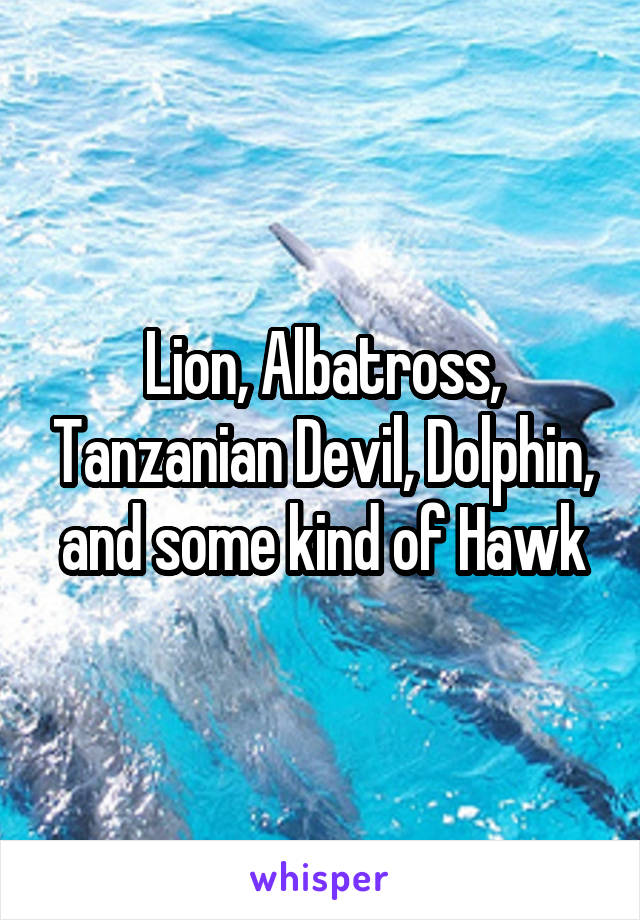 Lion, Albatross, Tanzanian Devil, Dolphin, and some kind of Hawk