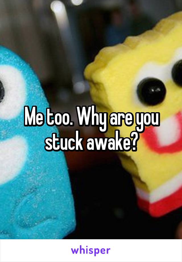 Me too. Why are you stuck awake?