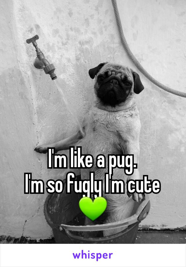 I'm like a pug.
I'm so fugly I'm cute💚