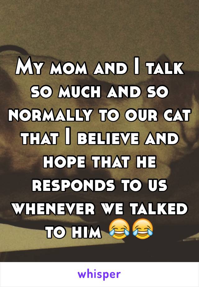 My mom and I talk so much and so normally to our cat that I believe and hope that he responds to us whenever we talked to him 😂😂