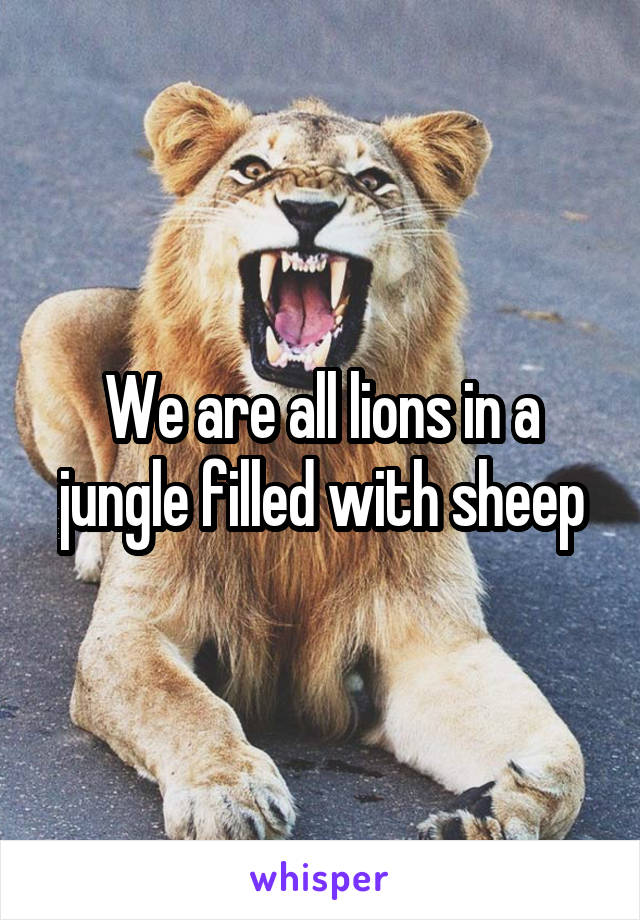 We are all lions in a jungle filled with sheep