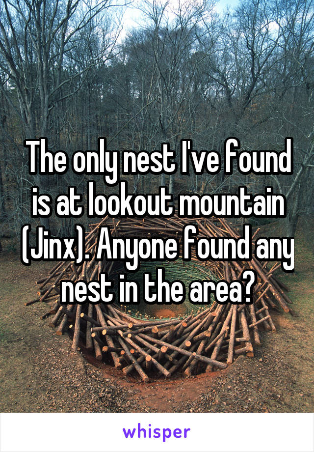 The only nest I've found is at lookout mountain (Jinx). Anyone found any nest in the area?