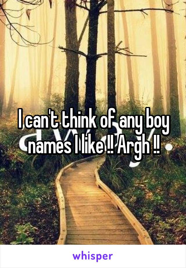 I can't think of any boy names I like !! Argh !!