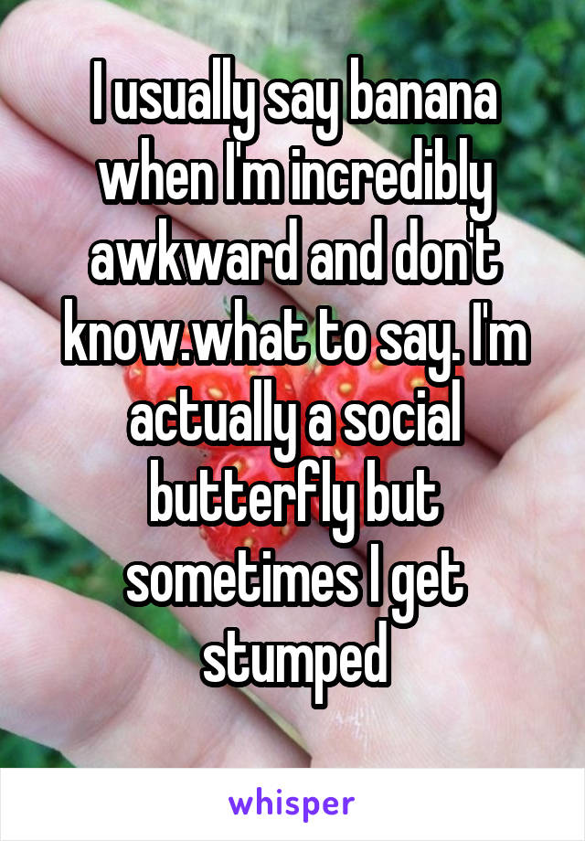 I usually say banana when I'm incredibly awkward and don't know.what to say. I'm actually a social butterfly but sometimes I get stumped
