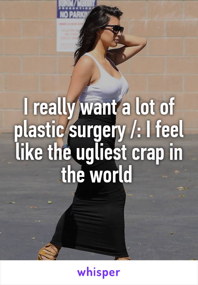 I really want a lot of plastic surgery /: I feel like the ugliest crap in the world 