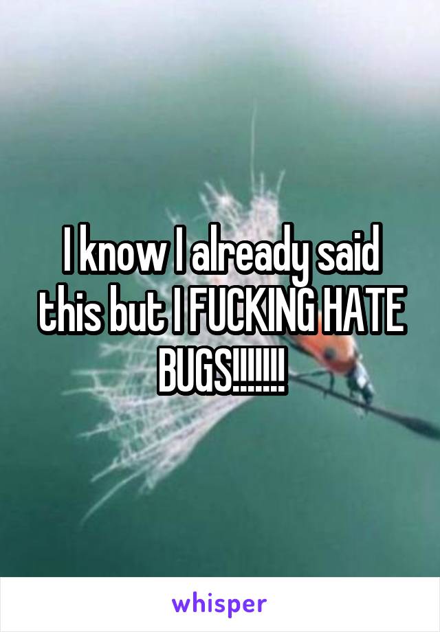 I know I already said this but I FUCKING HATE BUGS!!!!!!!