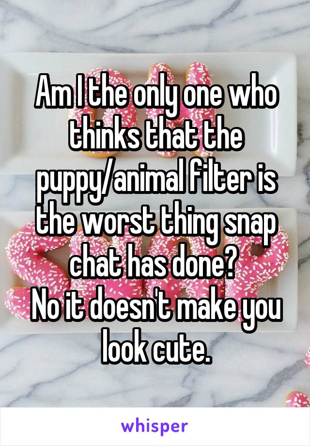 Am I the only one who thinks that the puppy/animal filter is the worst thing snap chat has done? 
No it doesn't make you look cute.