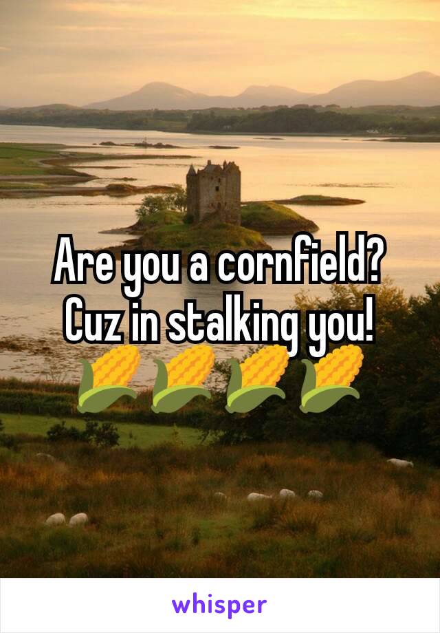 Are you a cornfield? Cuz in stalking you!
🌽🌽🌽🌽