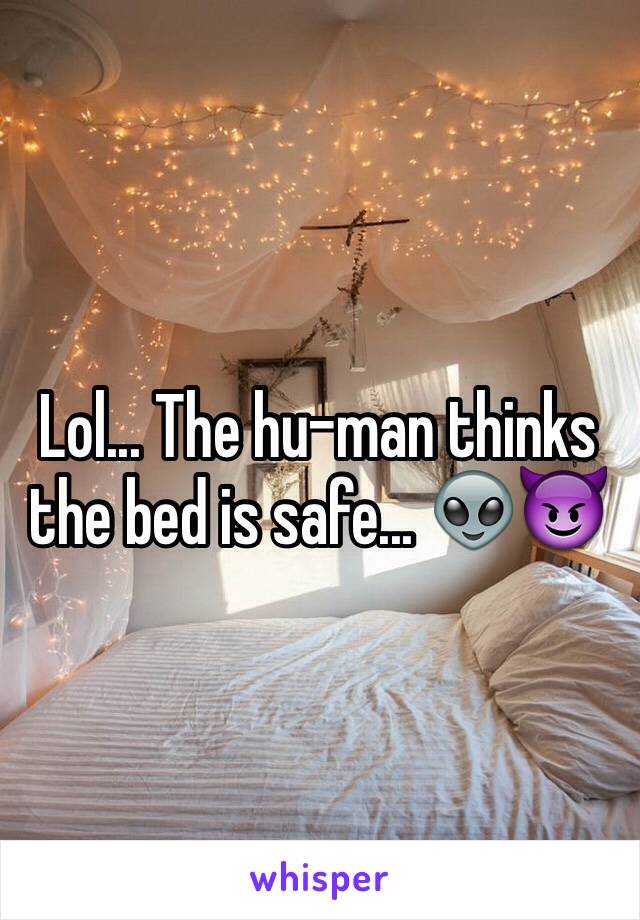 Lol... The hu-man thinks the bed is safe... 👽😈