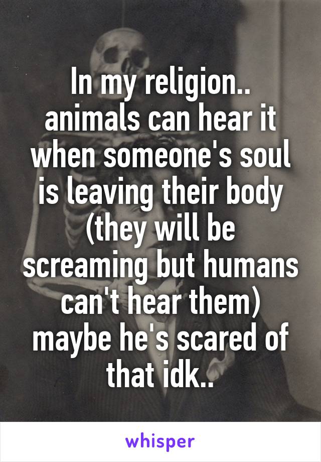 In my religion.. animals can hear it when someone's soul is leaving their body (they will be screaming but humans can't hear them) maybe he's scared of that idk..