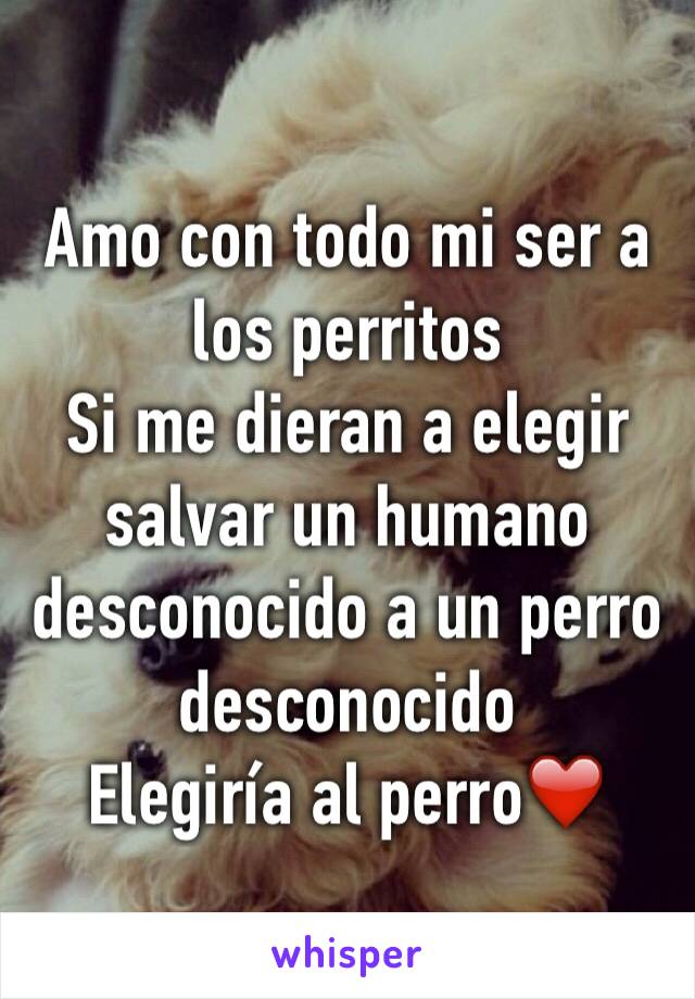 Amo con todo mi ser a los perritos 
Si me dieran a elegir salvar un humano desconocido a un perro desconocido 
Elegiría al perro❤️