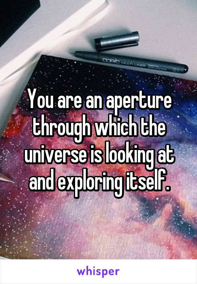 You are an aperture through which the universe is looking at and exploring itself.