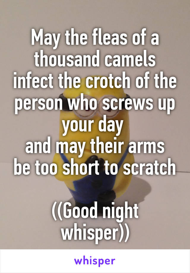 May the fleas of a thousand camels infect the crotch of the person who screws up your day 
and may their arms be too short to scratch 
((Good night whisper))