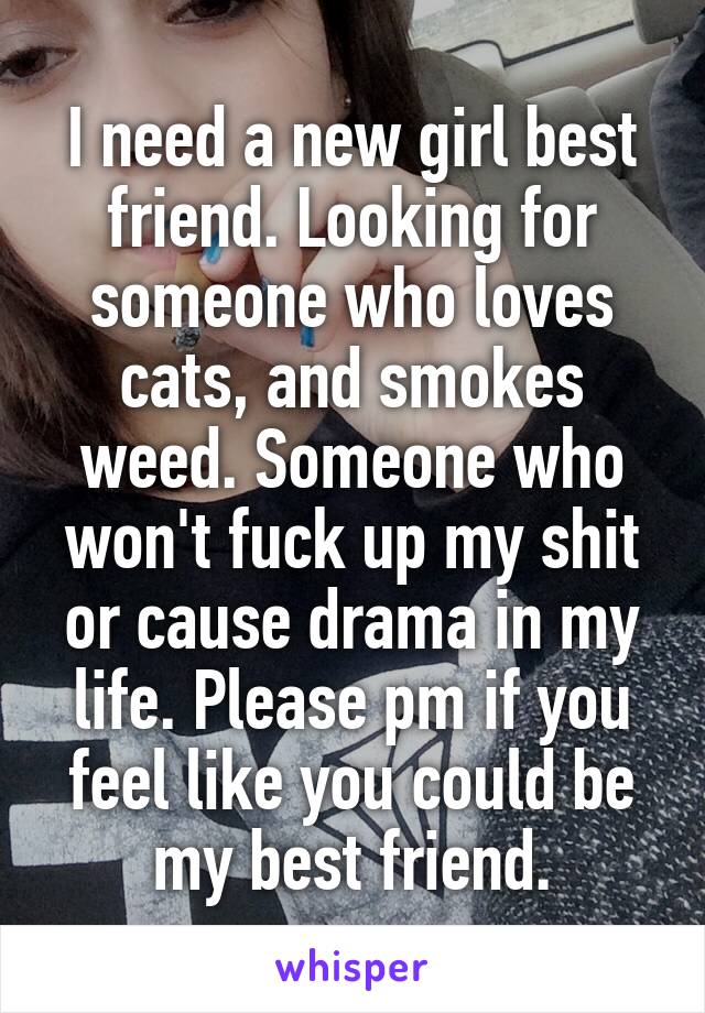 I need a new girl best friend. Looking for someone who loves cats, and smokes weed. Someone who won't fuck up my shit or cause drama in my life. Please pm if you feel like you could be my best friend.