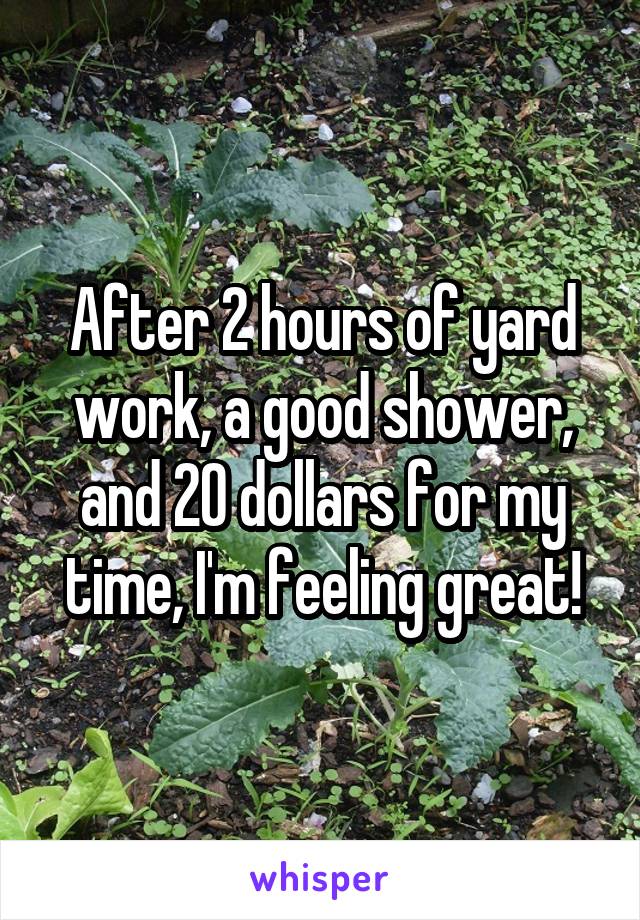 After 2 hours of yard work, a good shower, and 20 dollars for my time, I'm feeling great!