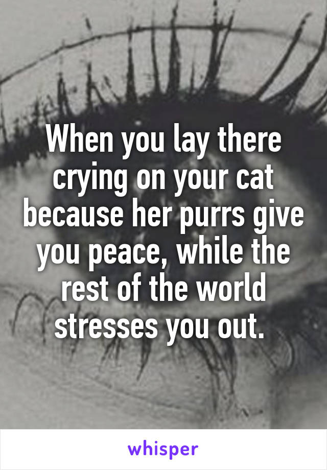 When you lay there crying on your cat because her purrs give you peace, while the rest of the world stresses you out. 