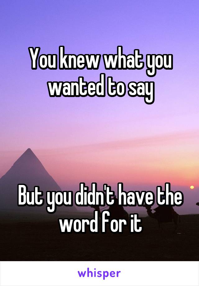 You knew what you wanted to say



But you didn't have the word for it