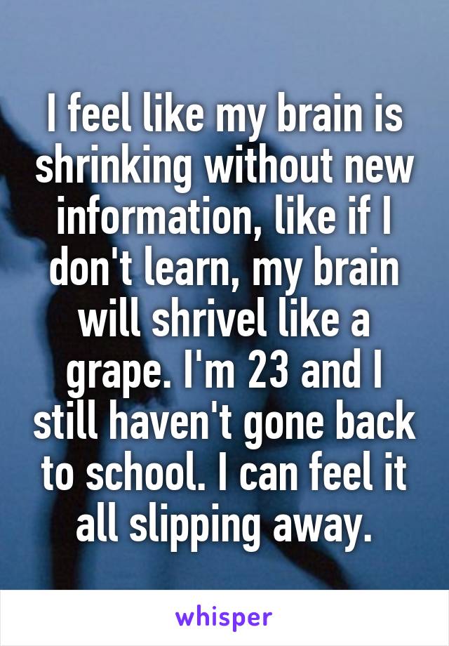 I feel like my brain is shrinking without new information, like if I don't learn, my brain will shrivel like a grape. I'm 23 and I still haven't gone back to school. I can feel it all slipping away.