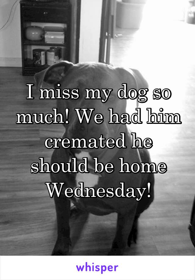 I miss my dog so much! We had him cremated he should be home Wednesday!