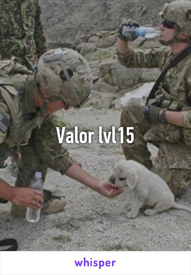 Valor lvl15