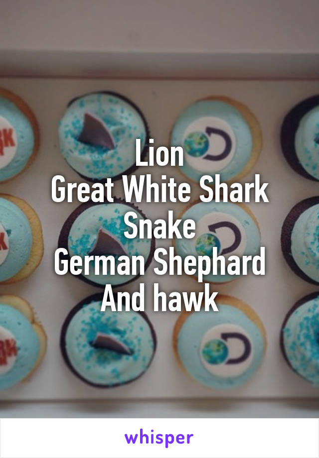 Lion
Great White Shark
Snake
German Shephard
And hawk