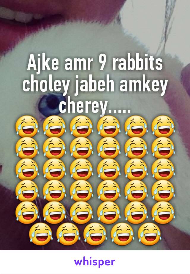 Ajke amr 9 rabbits choley jabeh amkey cherey.....
😂😂😂😂😂😂😂😂😂😂😂😂😂😂😂😂😂😂😂😂😂😂😂😂😂😂😂😂😂😂😂😂😂😂😂