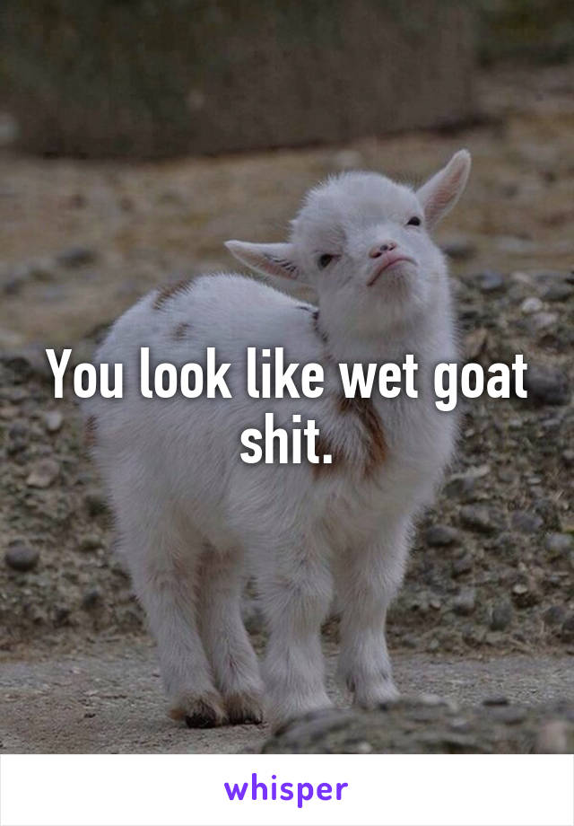 You look like wet goat shit.