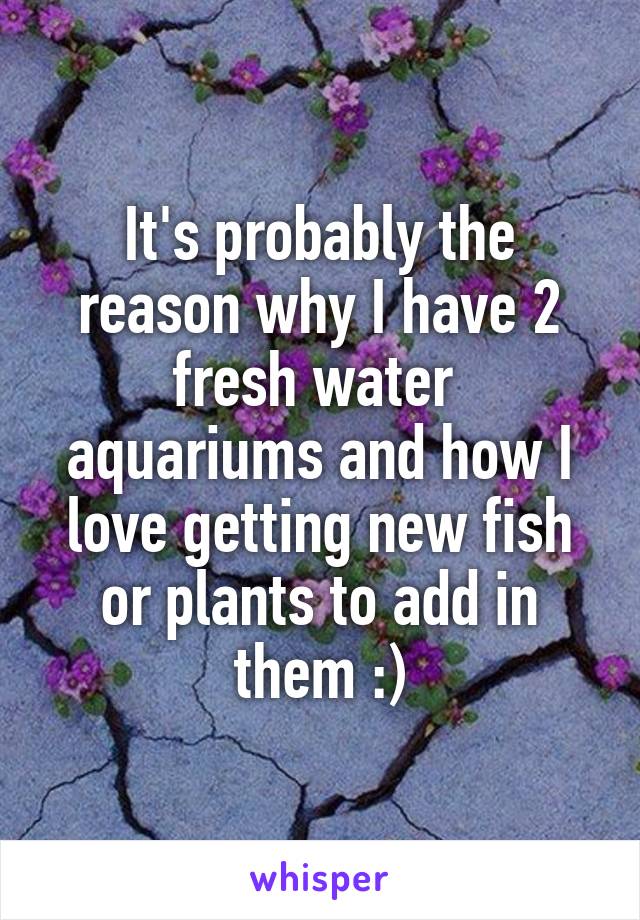 It's probably the reason why I have 2 fresh water  aquariums and how I love getting new fish or plants to add in them :)