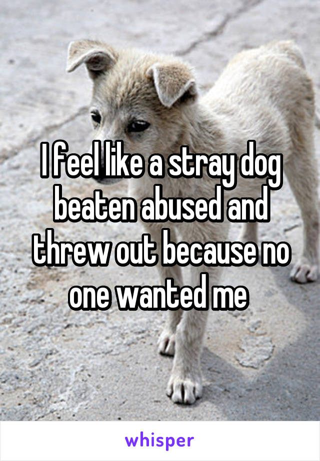 I feel like a stray dog beaten abused and threw out because no one wanted me 