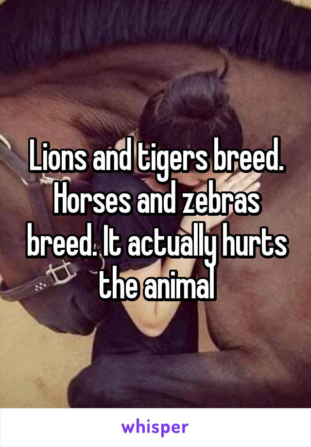 Lions and tigers breed. Horses and zebras breed. It actually hurts the animal