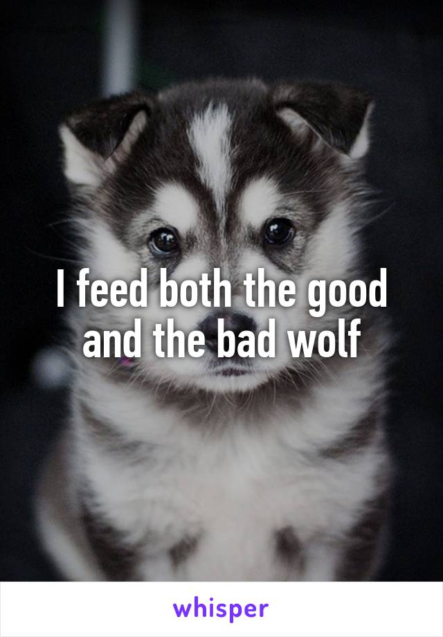 I feed both the good and the bad wolf