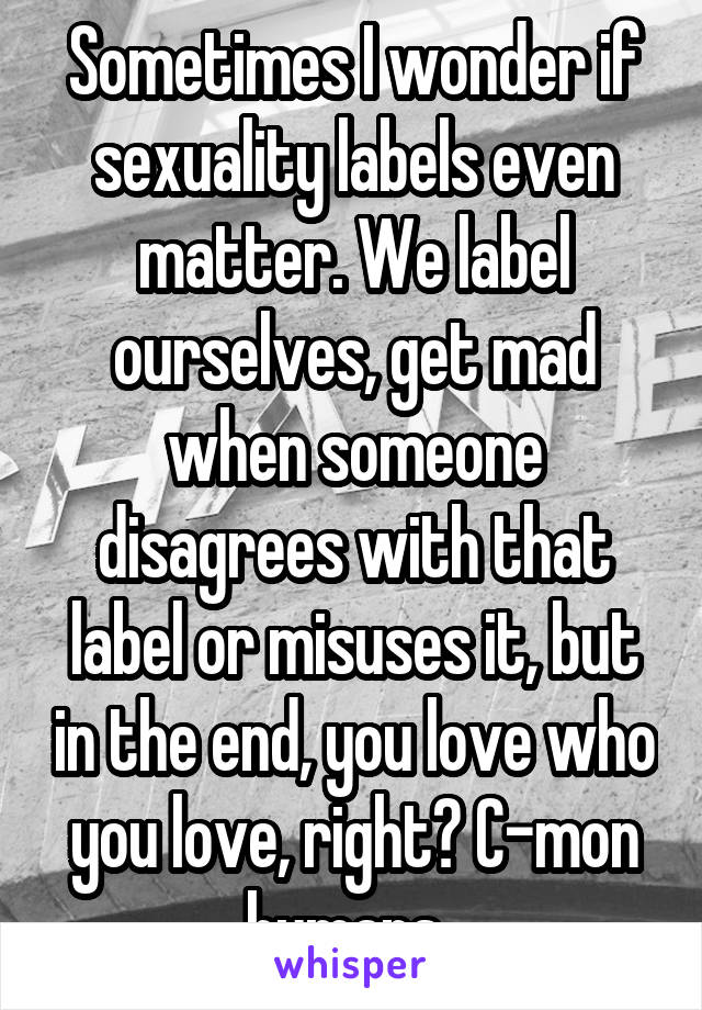 Sometimes I wonder if sexuality labels even matter. We label ourselves, get mad when someone disagrees with that label or misuses it, but in the end, you love who you love, right? C-mon humans. 