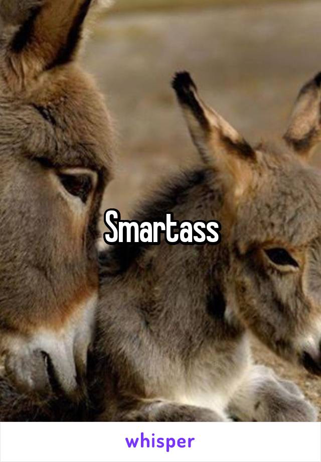 Smartass